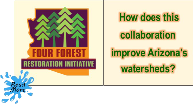 Four Forest Restoration Initiative